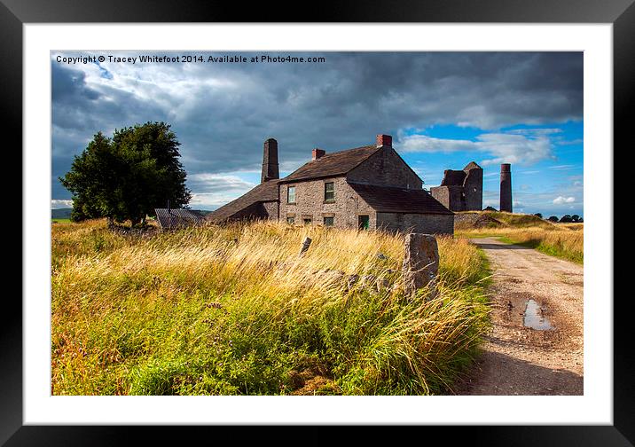Magpie Mine Framed Mounted Print by Tracey Whitefoot