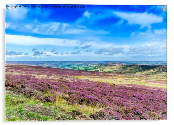 North Yorkshire Moors Acrylic by Trevor Kersley RIP