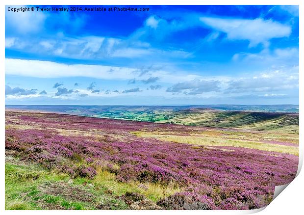 North Yorkshire Moors Print by Trevor Kersley RIP