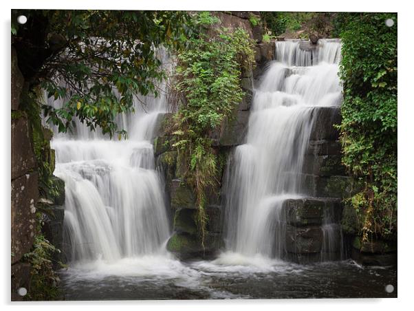  Penllergaer waterfalls Swansea Acrylic by Leighton Collins
