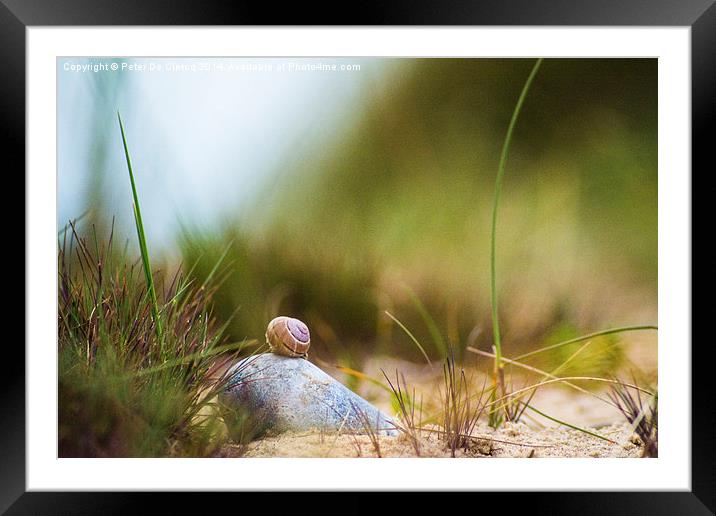  Snail on the Beach Framed Mounted Print by Peter De Clercq