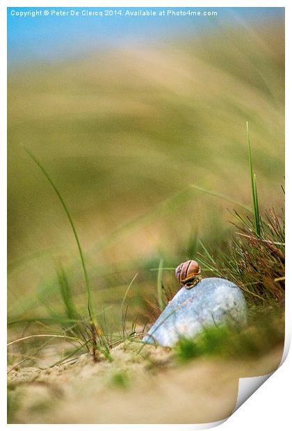  Snail on the Beach Print by Peter De Clercq