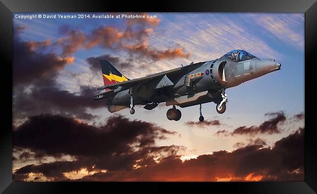  RAF Harrier GR9 Framed Print by David Yeaman