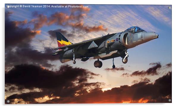 RAF Harrier GR9 Acrylic by David Yeaman