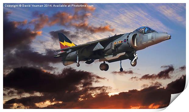  RAF Harrier GR9 Print by David Yeaman