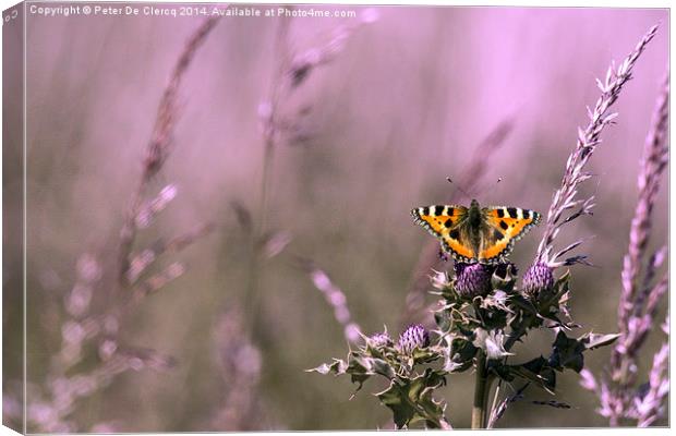 Butterfly Canvas Print by Peter De Clercq