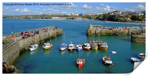  Newquay Harbour  Print by Diana Mower