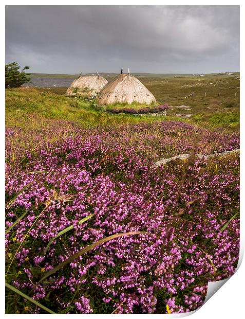  Norse Mill Heather Print by John Cropper