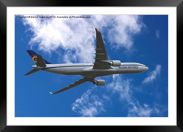 Belgian Air Force Airbus A330-300 Framed Mounted Print by David Yeaman