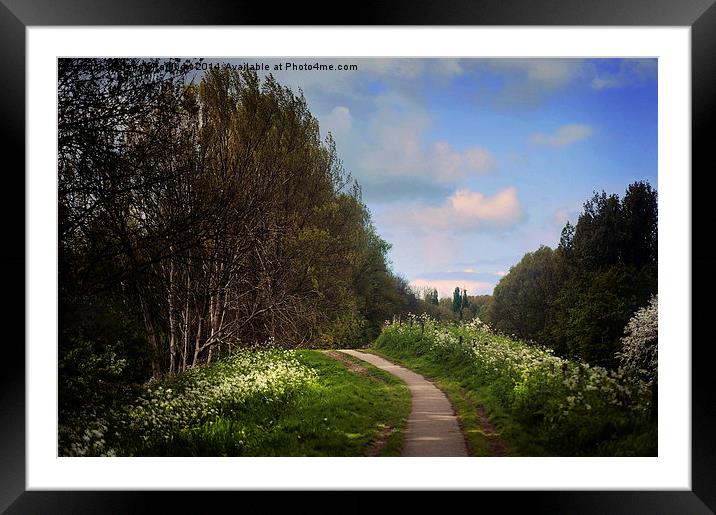  Spring Path Along the River. Netherlands  Framed Mounted Print by Jenny Rainbow