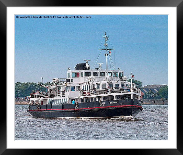  MV Snowdrop-Liverpool. Framed Mounted Print by Lilian Marshall