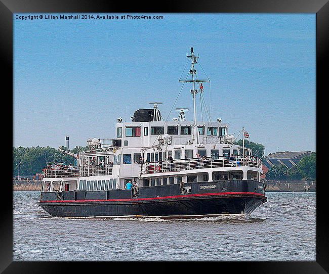  MV Snowdrop-Liverpool. Framed Print by Lilian Marshall