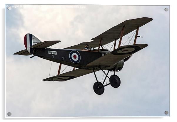 Sopwith Pup Replica Airplane in Flight Acrylic by Philip Pound