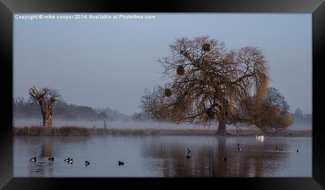  running through the mist Framed Print by mike cooper