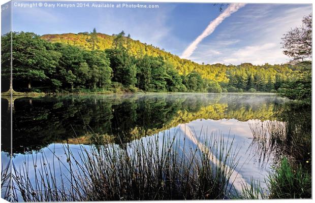  Misty Waters Of Yew Tree Tarn Canvas Print by Gary Kenyon