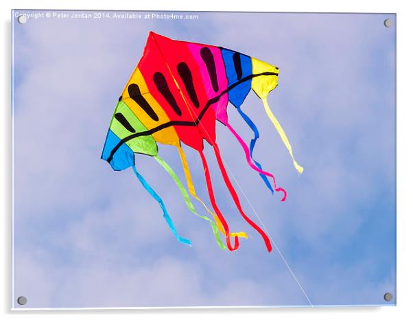  Kite Flying Acrylic by Peter Jordan
