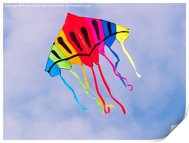  Kite Flying Print by Peter Jordan