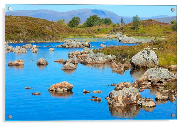  the highlands..black mts. Acrylic by dale rys (LP)