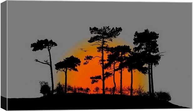 SUNRISE THROUGH THE TREES  Canvas Print by len milner