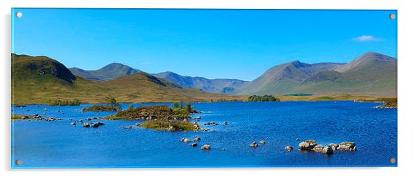  highland landscape Acrylic by dale rys (LP)