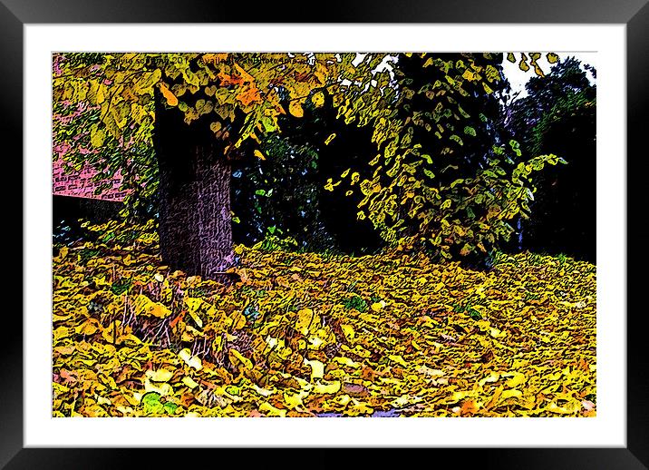  Golden Autumn  Framed Mounted Print by sylvia scotting