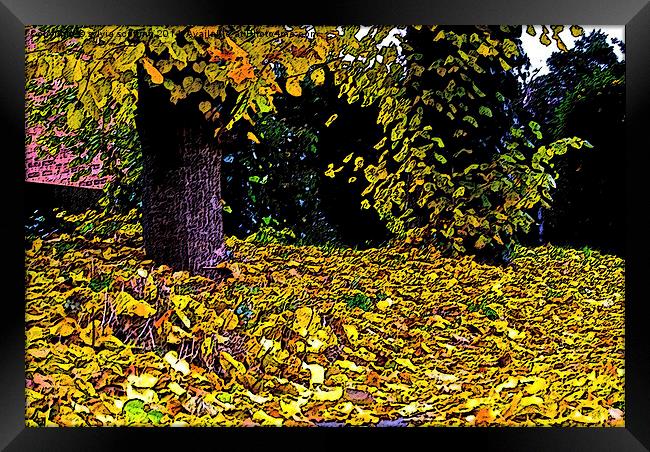  Golden Autumn  Framed Print by sylvia scotting