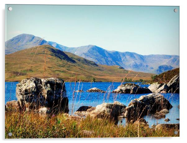  highland landscape   Acrylic by dale rys (LP)