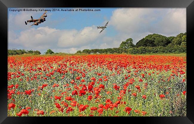  SPITFIRE AND LANCASTER Framed Print by Anthony Kellaway