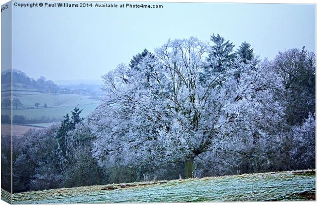  First Frost Canvas Print by Paul Williams