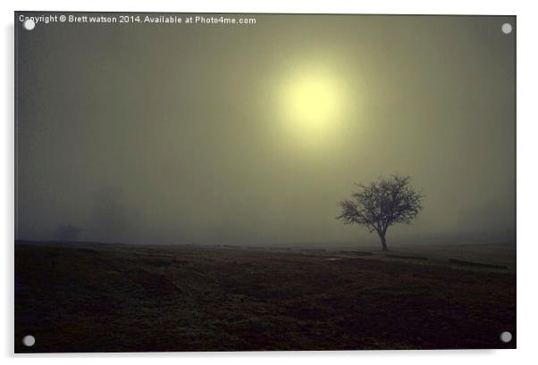  the mist at knole park Acrylic by Brett watson