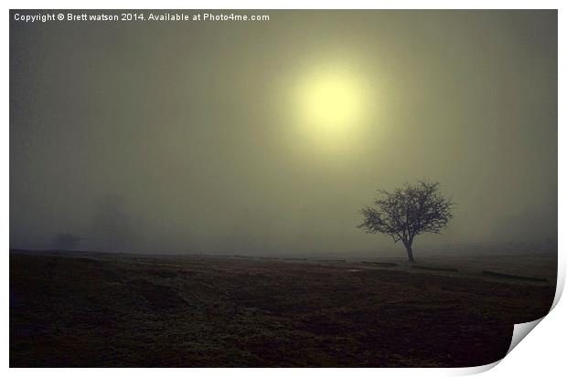  the mist at knole park Print by Brett watson