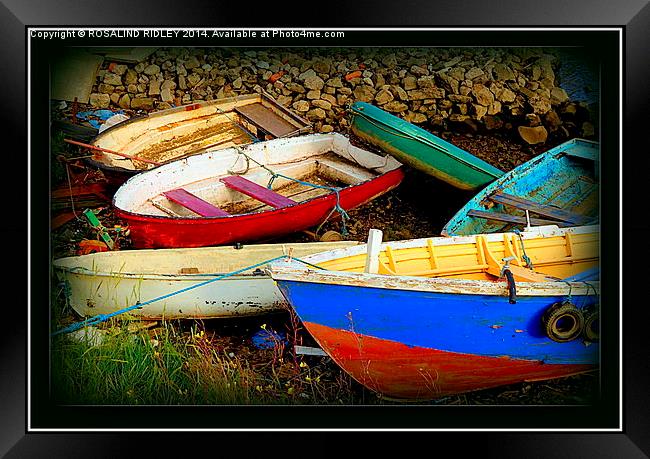 OLD FISHING BOATS  Framed Print by ROS RIDLEY