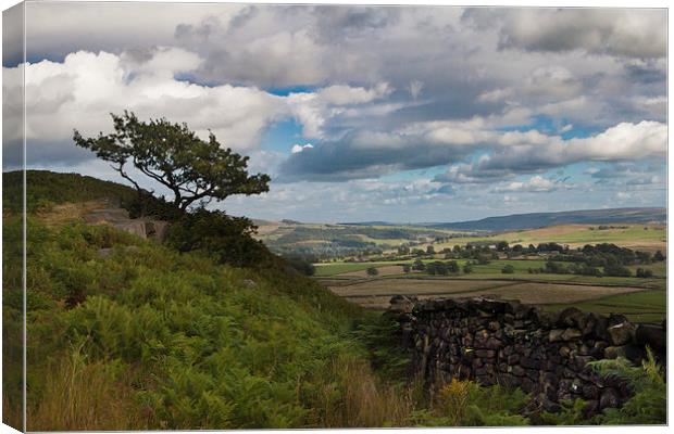  The Yorkshire Dales Canvas Print by Sean Wareing