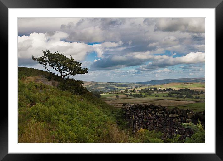  The Yorkshire Dales Framed Mounted Print by Sean Wareing