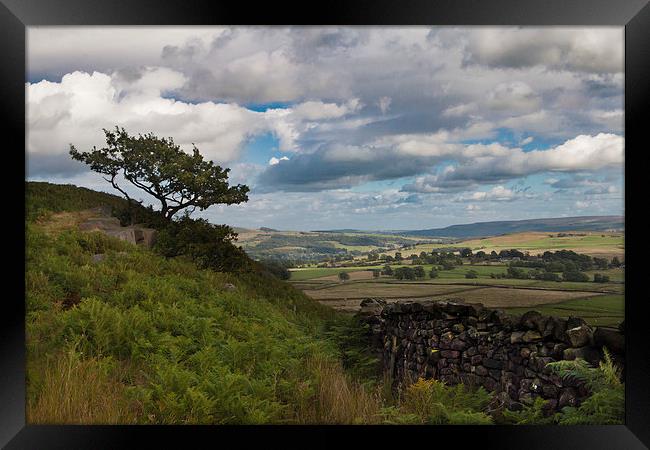  The Yorkshire Dales Framed Print by Sean Wareing