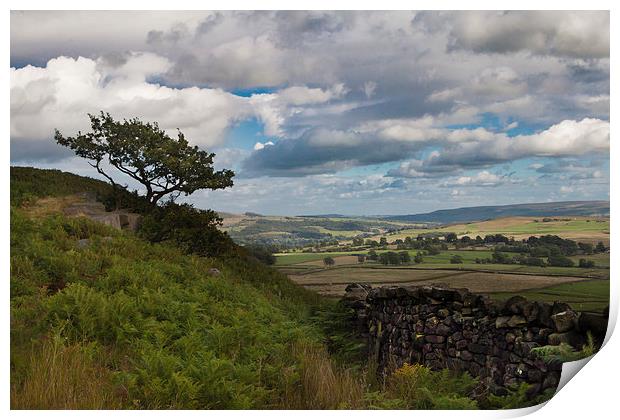  The Yorkshire Dales Print by Sean Wareing