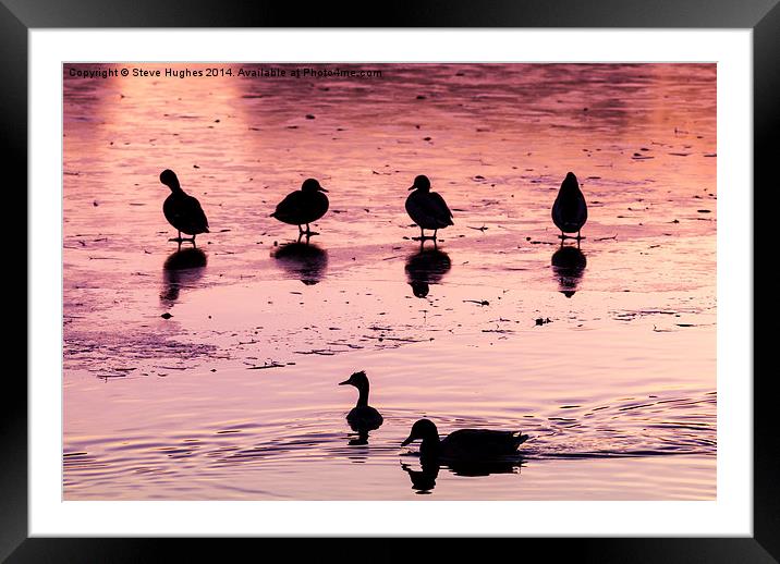  Silhouetted ducks Framed Mounted Print by Steve Hughes