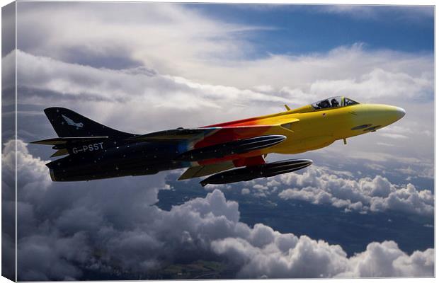Miss Demeanour in flight Canvas Print by Oxon Images