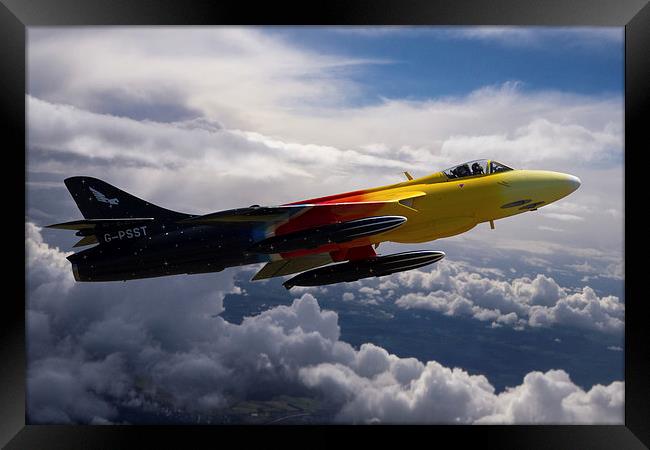 Miss Demeanour in flight Framed Print by Oxon Images