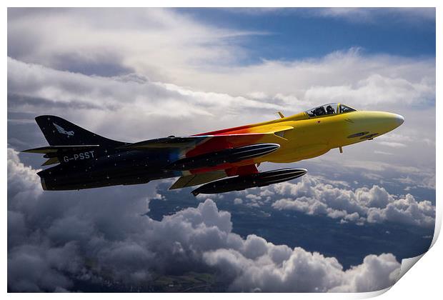 Miss Demeanour in flight Print by Oxon Images
