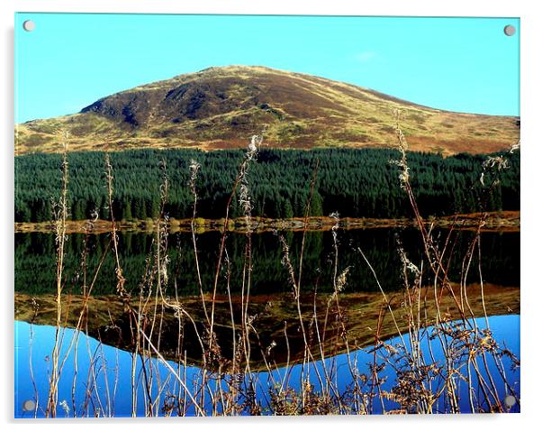  Loch Doon 2 Acrylic by Derek Burton