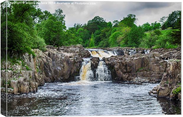  LOW FORCE WATERFALLS Canvas Print by Angela Wallace