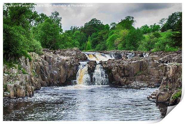  LOW FORCE WATERFALLS Print by Angela Wallace