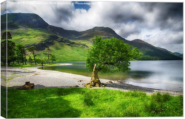 Bow to Buttermere  Canvas Print by Angela Wallace
