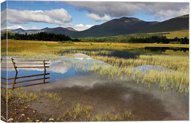 Glen Orchy in summer  Canvas Print by Stephen Taylor