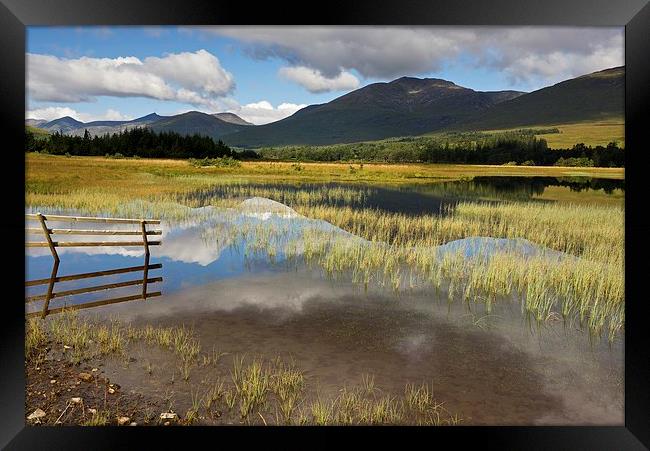 Glen Orchy in summer  Framed Print by Stephen Taylor