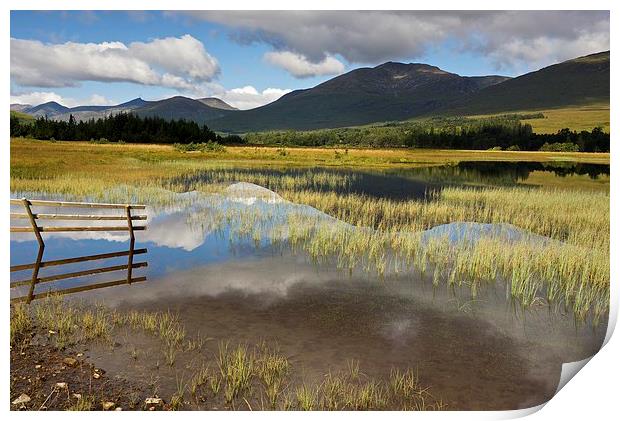 Glen Orchy in summer  Print by Stephen Taylor