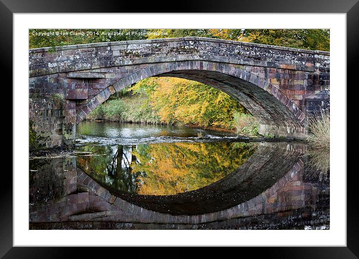  On Reflection Framed Mounted Print by Ian Clamp