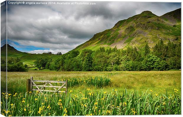  Gateway to Ullswater   Canvas Print by Angela Wallace