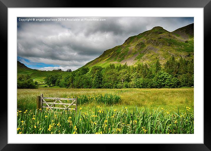  Gateway to Ullswater   Framed Mounted Print by Angela Wallace